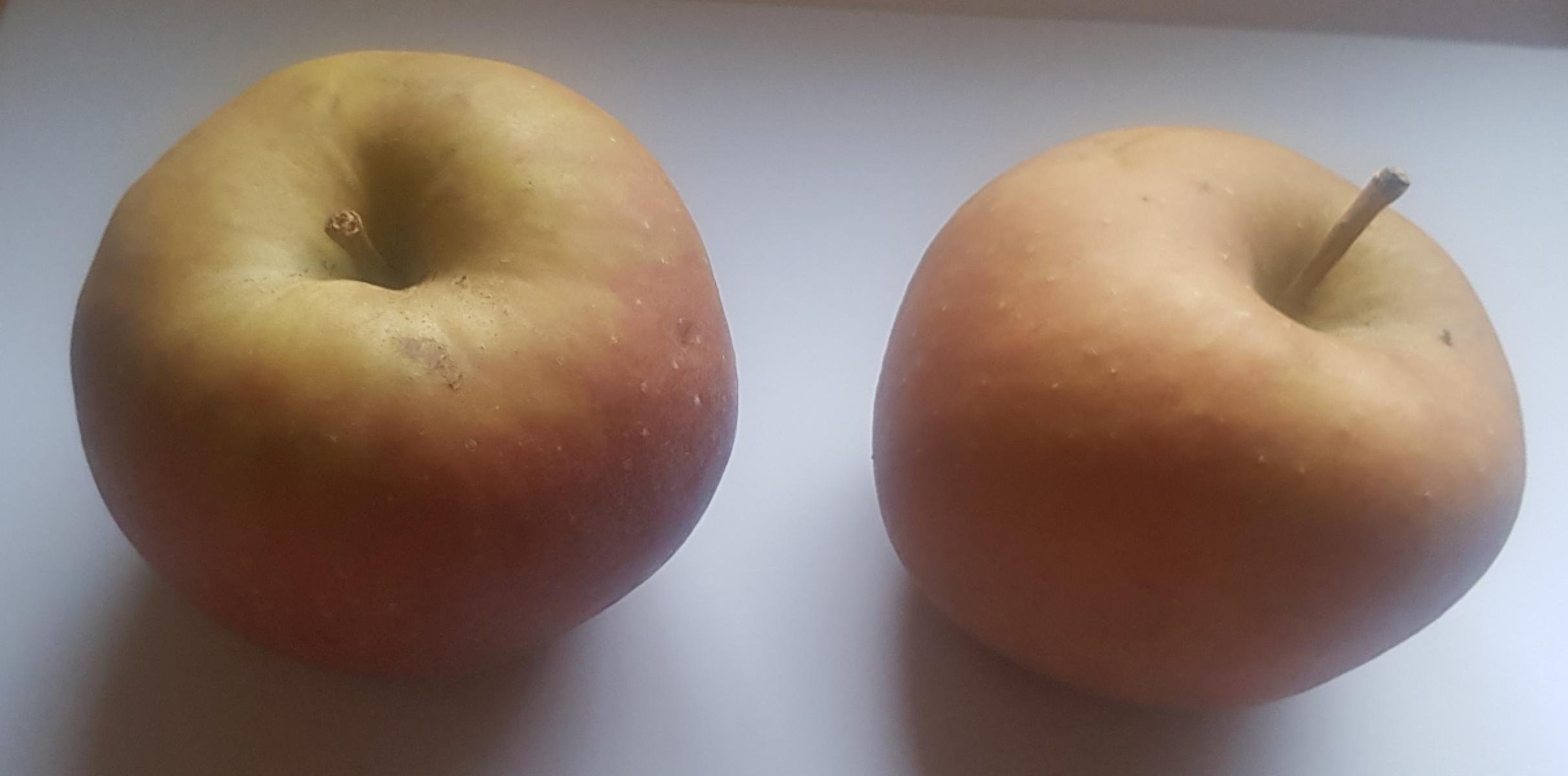 Äpfel Boskoop