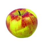 Äpfel der Woche (Gala)