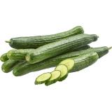 Gurken Schlangengurke