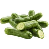 Gurken Mini