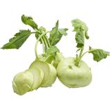 Kohlrabi