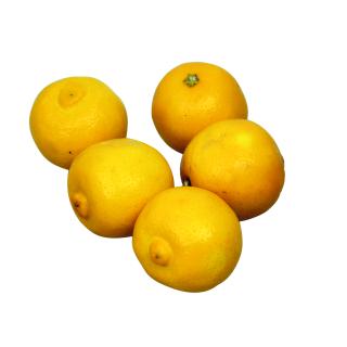 Zitrone Echte Bergamotte