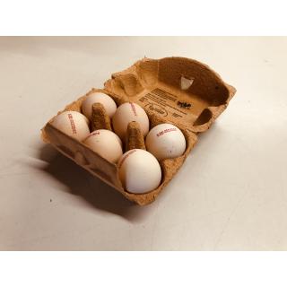 Eier aus ökologischer Erzeugung Kl. A/M