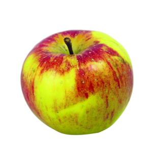 Äpfel der Woche (Elstar)