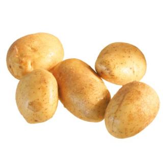 Kartoffeln Magda (vfk), Frühkartoffeln