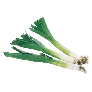 Lauch