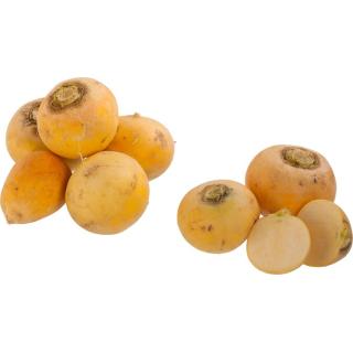 Mairübchen