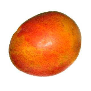 Mango -angereift-