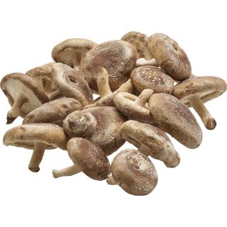 Shiitake-Pilze, ca. 100 g