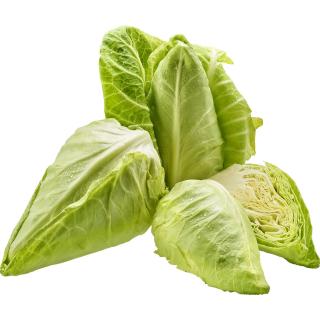 Spitzkraut