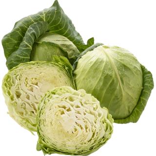Weißkraut