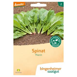 Saatgut Spinat Thorin, 32 g