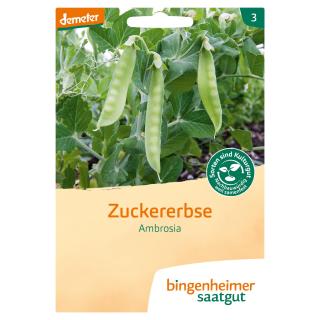 Saatgut Zuckererbse Ambrosia, 37 g