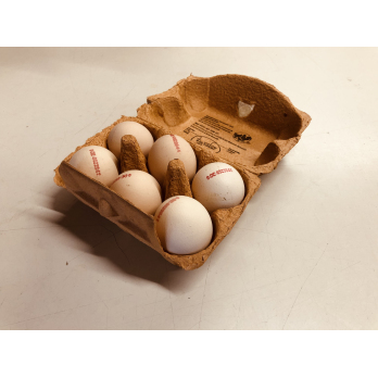 Eier aus ökologischer Erzeugung Kl. A/M