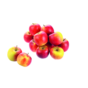 Äpfel Gala