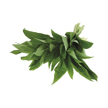 Bärlauch, ca. 100 g