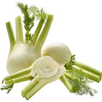 Fenchel