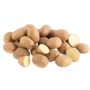 Kartoffeln Agria (vfk)