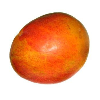 Mango -angereift-