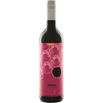Merlot lOcchio IGT 2019, 0,75 ltr Flasche , rot