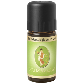 Eukalyptus globulus* bio Duftöl, Primavera life 10 ml