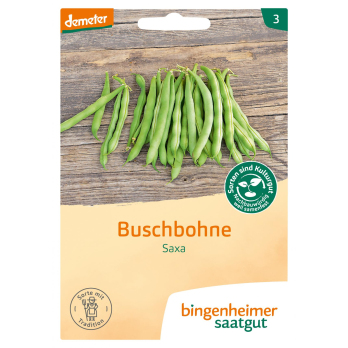 Saatgut Buschbohne Saxa, 35 g