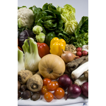 Mild XL für 4-5 Personen