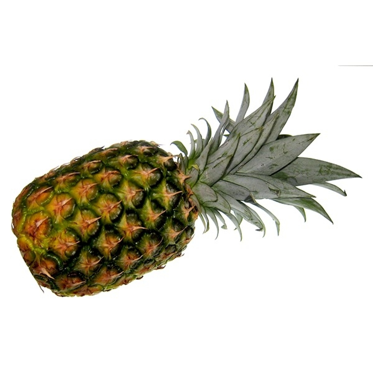 Ananas