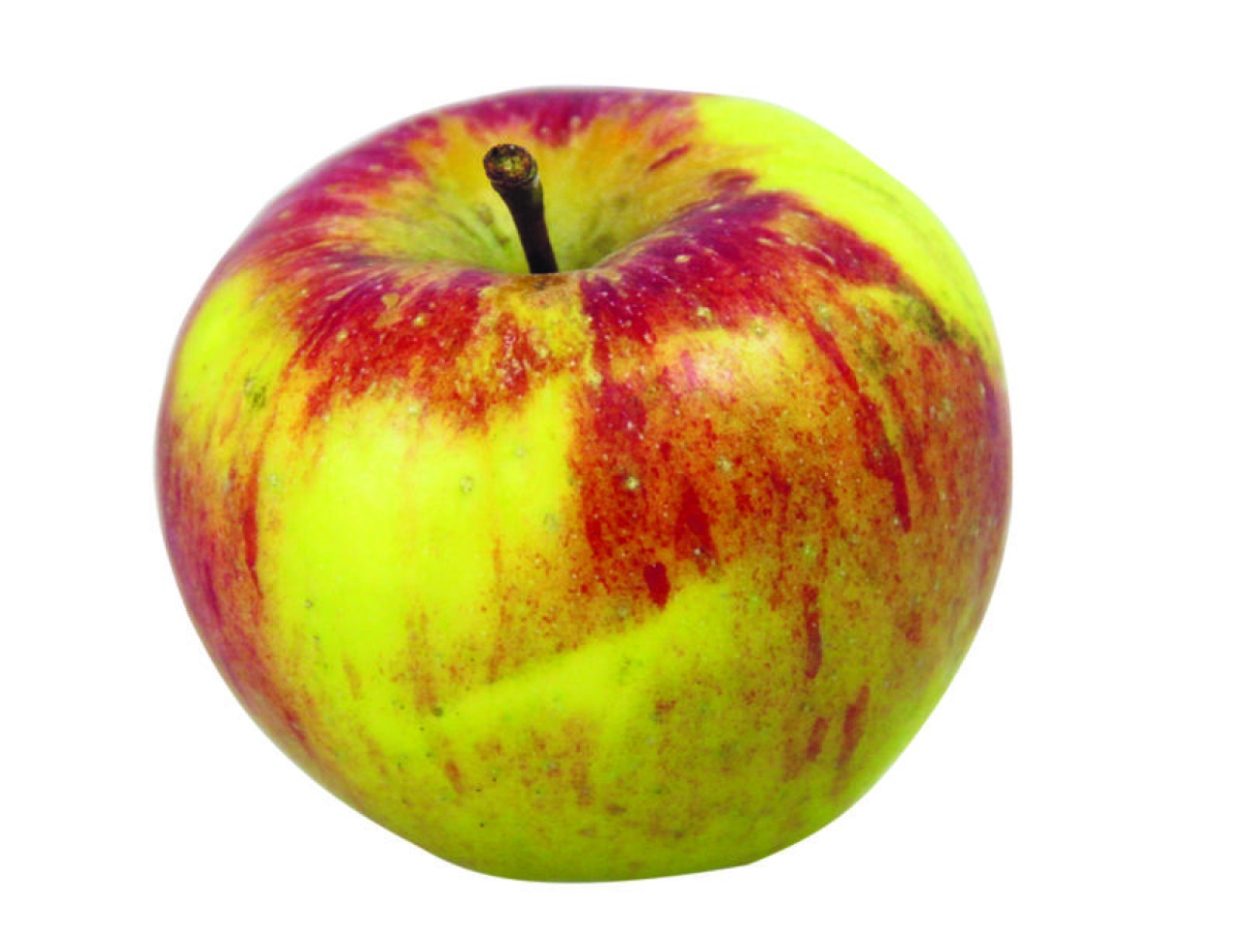 Äpfel Topaz