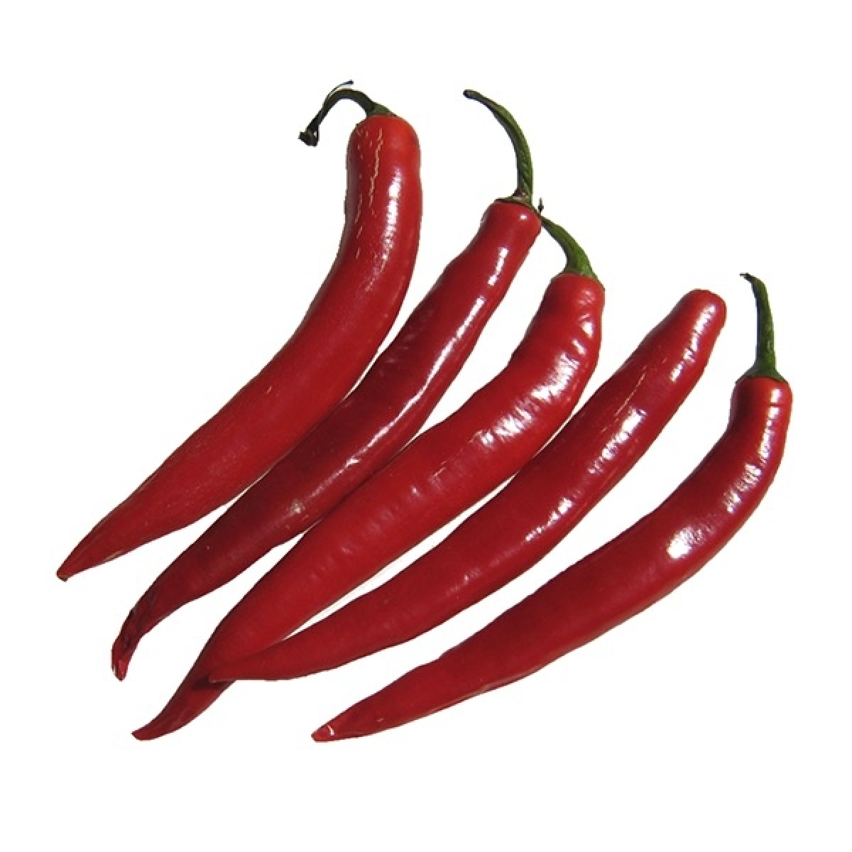 Chili Peperoni, ca. 100 g