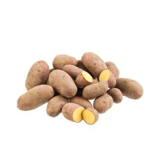 ÜÜ Kartoffeln Laura 5 kg (rotschalig, vfk)