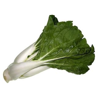 Pak Choi
