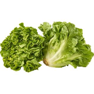 Salat Endivien