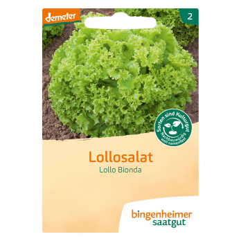 Saatgut Pflücksalat Lollo Bionda, 4 g